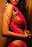 escort Hotel Radisson Blu Plaza 9811014745 Mahipalpur Model Escort Service